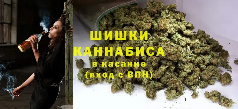 Конопля OG Kush  Горячий Ключ 